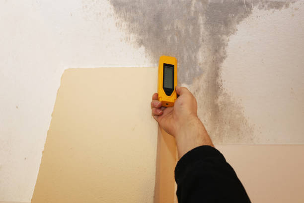 Best Mold Prevention Services  in Hawthorne, NJ