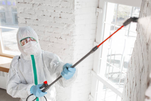 Best Post-Remediation Verification Testing  in Hawthorne, NJ