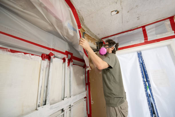Best Mold Removal for HVAC Installations  in Hawthorne, NJ