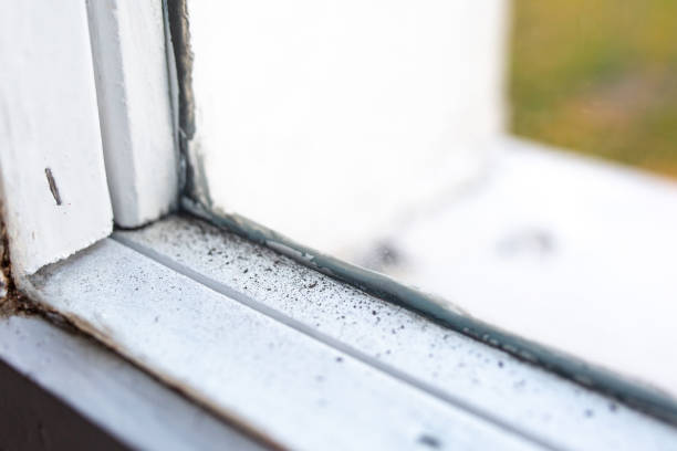 Best Asbestos and Lead Testing During Mold Inspection  in Hawthorne, NJ