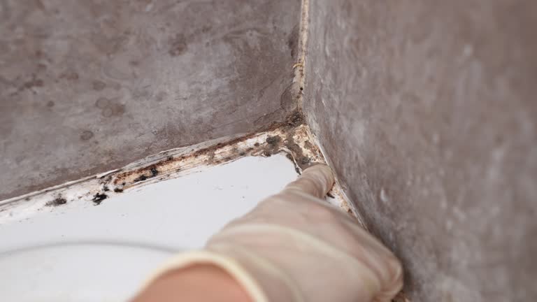 Best Indoor Air Quality Assessment  in Hawthorne, NJ